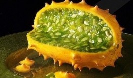 吃角瓜的网红是谁啊,揭秘网络红人的美食魅力